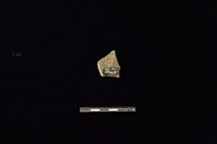 陶片藏品圖，第2張